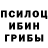 Галлюциногенные грибы мухоморы Justin Toribio